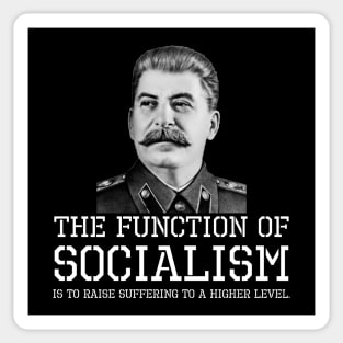 The function of socialism is to raise suffering to a higher level. Sticker